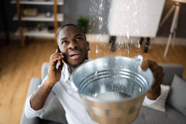 Best Water damage restoration company  in Mahopac, NY