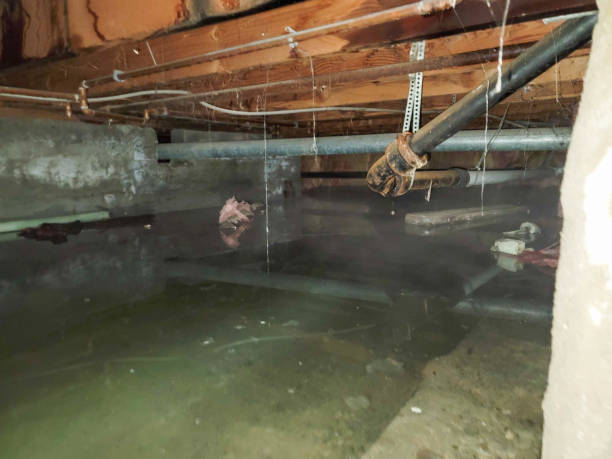 Best Water damage contractors near me  in Mahopac, NY