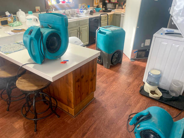 Best Water damage restoration process  in Mahopac, NY