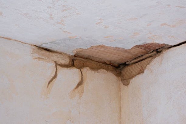 Best 24/7 water damage repair  in Mahopac, NY