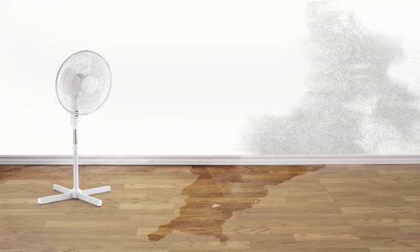 Best Professional water damage repair  in Mahopac, NY