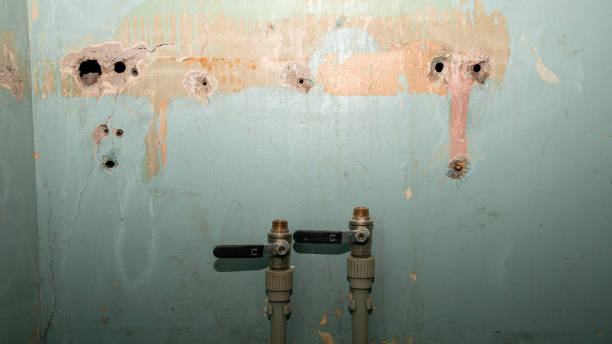 Best Water damage restoration specialists  in Mahopac, NY