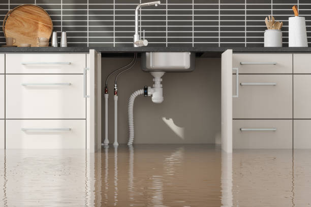 Best Water damage cleanup near me  in Mahopac, NY