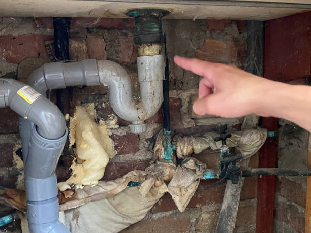 Best Water damage restoration mold remediation  in Mahopac, NY