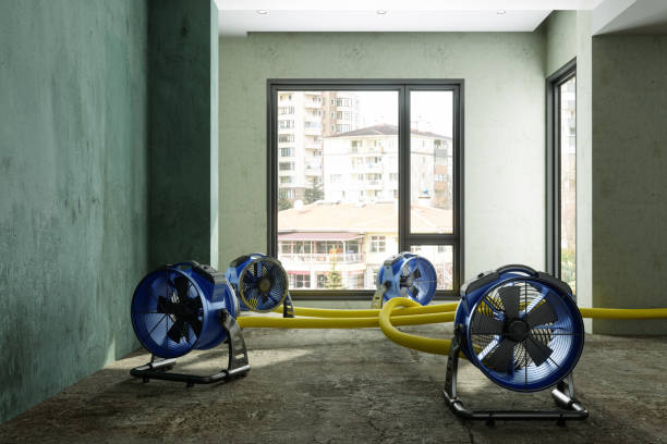 Best Local water damage restoration  in Mahopac, NY