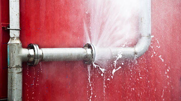 Best Flood damage cleanup  in Mahopac, NY
